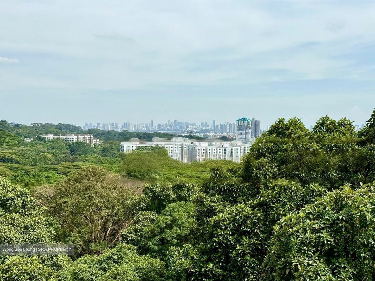 The Hillside (D21), Condominium #501649181